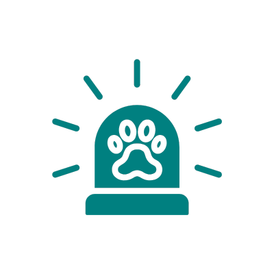 pet emergency icon