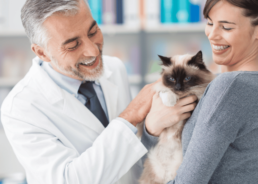 A woman embraces a cat, and a man smiles happily